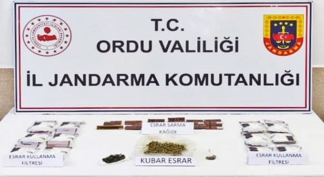 Orduda uyuşturucu operasyonunda 1 kişi tutuklandı