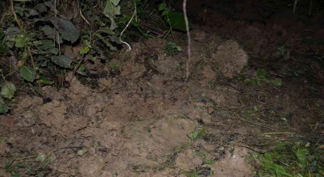 Orduda yeni doğmuş bebek toprağa gömülü olarak bulundu