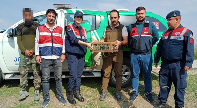 Osmaniye'de Kaçak avlanan 19 saka kuşu yeniden doğaya bırakıldı