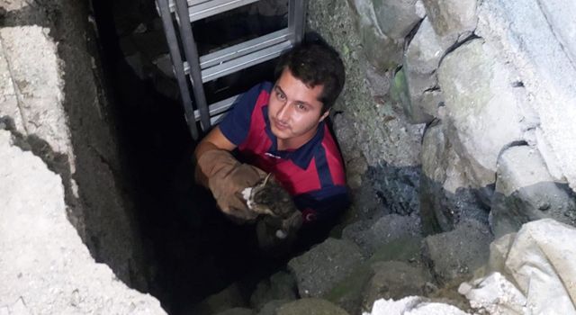 Osmaniye'de Kuyuya düşen kediyi itfaiye ekibi kurtardı