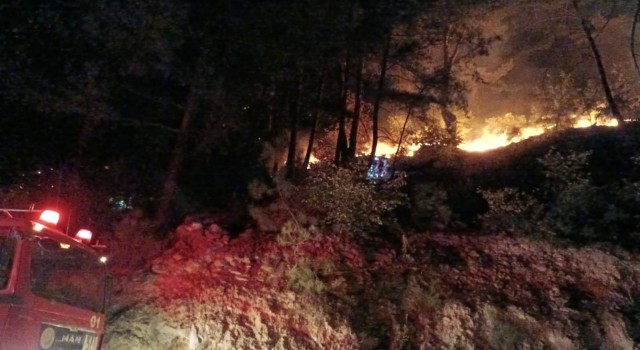 Osmaniyedeki orman yangını kontrol altına alındı