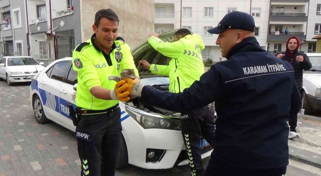 Otomobile ve polis aracının motoruna giren kediyi çıkartmak için seferber oldular