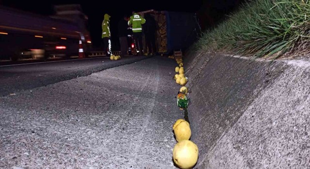 Otoyolda ayva yüklü kamyonet devrildi