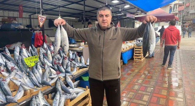 Palamut hem vatandaşı hem esnafı memnun etti