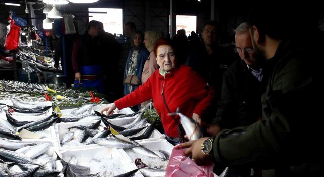 Palamuttaki bolluk fiyatları düşürdü