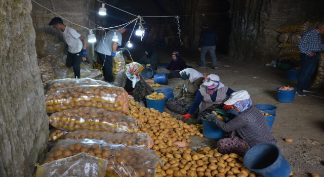 Patates bu mağaralarda ayrı bir lezzet kazanıyor