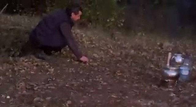 Piknik yaptıkları alana gelen tilkiyi köfteyle beslediler