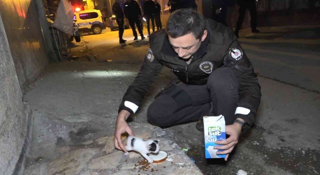 Polislerin hırsız var diye tırmandıkları evden yavru kedi çıktı