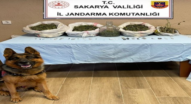 Sakaryada 5 kilo esrar ele geçirildi: 1 gözaltı