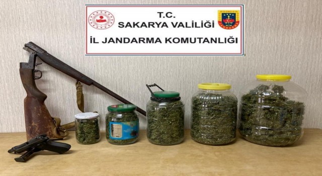 Sakaryada uyuşturucu operasyonu: 1 gözaltı
