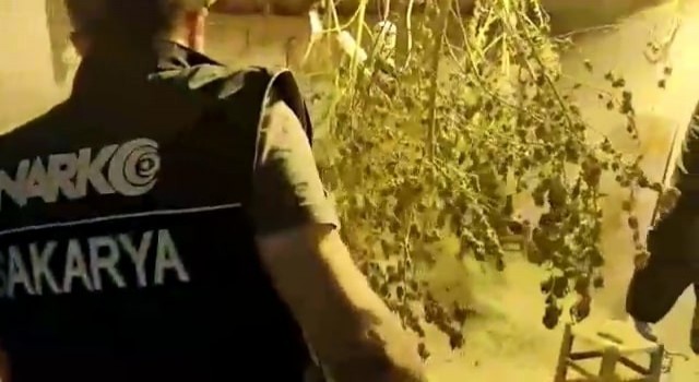 Sakaryada uyuşturucuya geçit yok: 121 şüpheli yakalandı