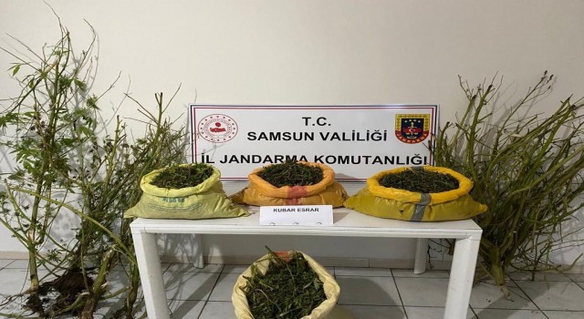 Samsunda 25 kilo 750 gram kubar esrar ele geçirildi