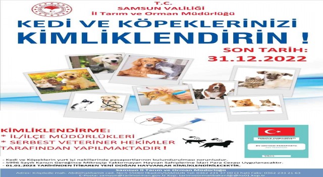 Samsunda 7 bin 277 evcil hayvan mikroçip uygulanarak kayıt altına alındı
