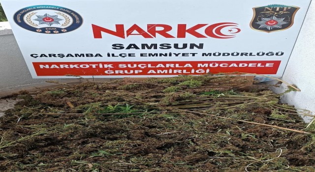 Samsunda 9 kilo 975 gram esrar ele geçirildi: 8 gözaltı