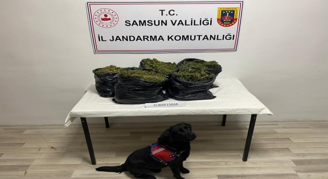 Samsunda yazlık eve operasyon: 15 kilo kubar esrar ele geçirildi, 2 kişi yakalandı