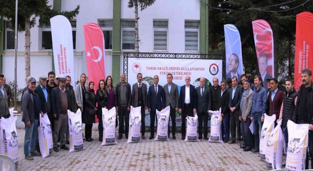 Samsunda yerli ve milli buğday çeşitleri yaygınlaşıyor