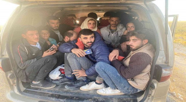 Şanlıurfada 18 düzensiz göçmen yakalandı