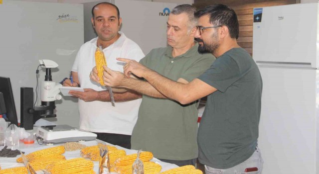 Şanlıurfada yerli doğal gübre hamlesi