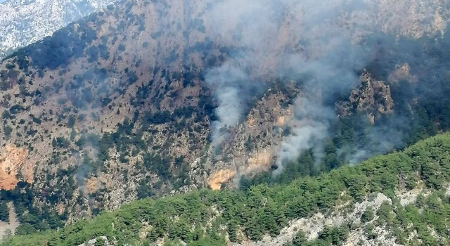 Sarp arazide çıkan orman yangınını kontrol altına alma çalışmaları sürüyor