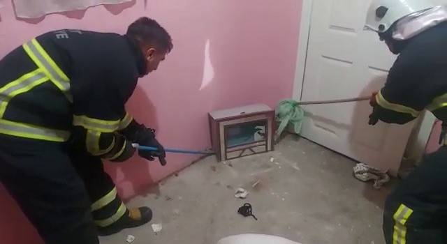 Siirtte eve giren yılanı itfaiye ekipleri çıkardı