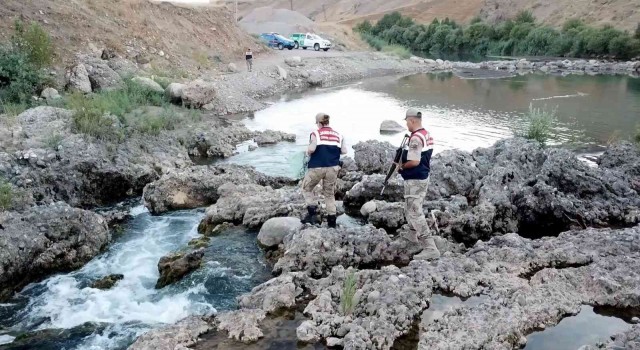 Siirtte jandarma kaçak avcılara göz açtırmıyor