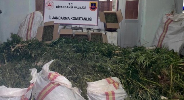 Silvanda son 1 ayda 103 kilo esrar ele geçirildi