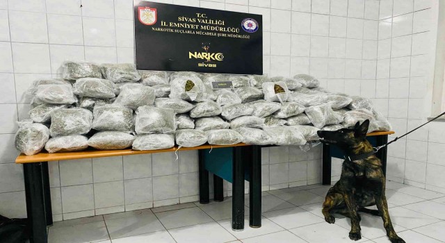 Sivasta uyuşturucu tacirlerine darbe