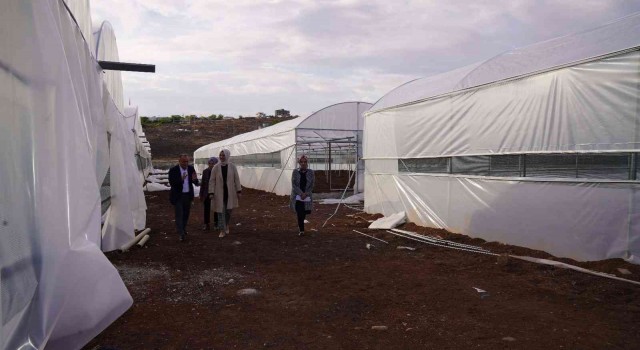 Siverekten mevsimlik göç seralarla önlenecek
