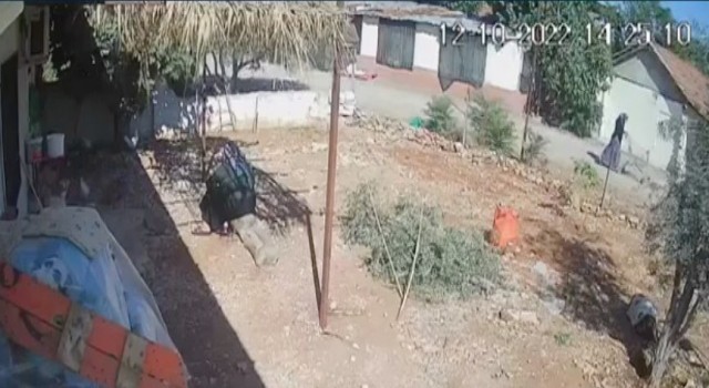 Sokak ortasında öldürülen yaşlı kadının ölmeden önce son görüntüleri ortaya çıktı
