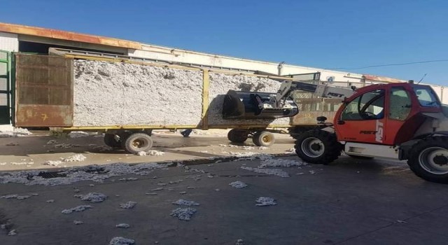 Söke TARİŞ 22 milyon kilogram pamuk alımı yaptı