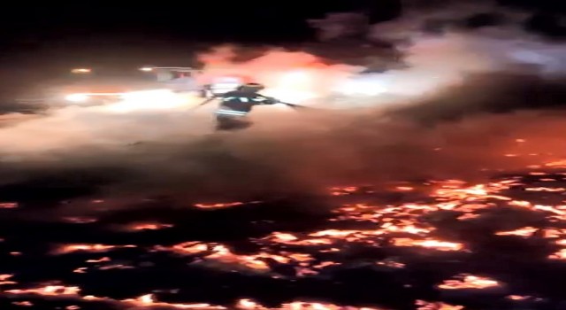 Spil Milli Parkında korkutan yangın