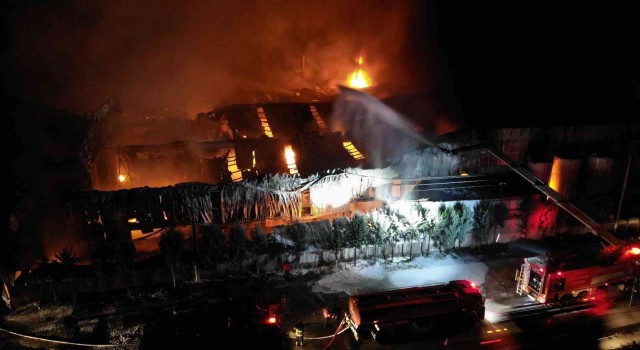 Sünger fabrikası alevlere teslim oldu: Ekipler yangını söndürmek için mücadele ediyor
