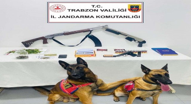 Süper ikili iş başında