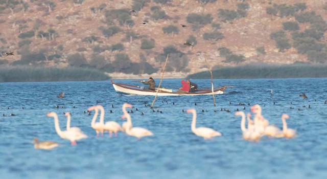 Tabiat Parkında ava 21 bin lira ceza