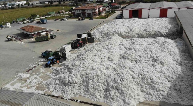 TARİŞe rağbet arttı, depolar 10 bin 200 ton pamukla doldu
