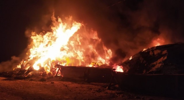 Tercanda 2 bin 700 bağ ot yandı