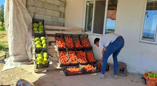 Topraktan gelen bereket