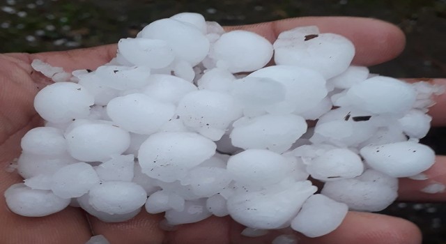 Trabzonun Şalpazarı ilçesinde dolu yağışı etkili oldu
