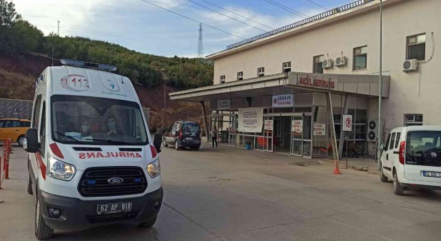 Tuncelide arıların soktuğu adam hayatını kaybetti