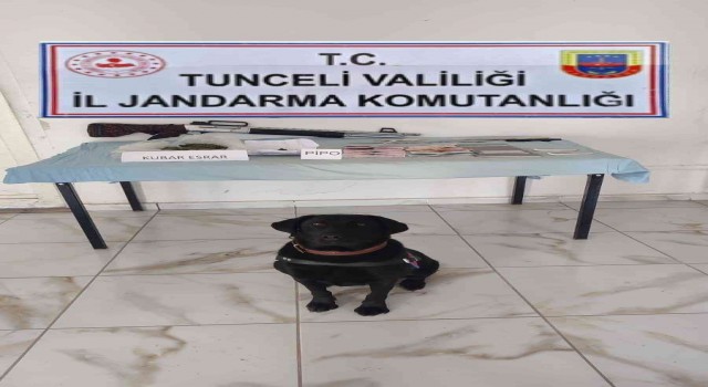 Tuncelide uyuşturucu operasyonu: 1 gözaltı