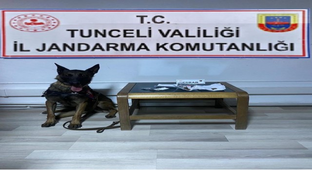 Tuncelide uyuşturucu operasyonu