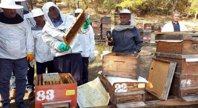 Türkiye dünyada 3.sırada..8 milyon koloni var