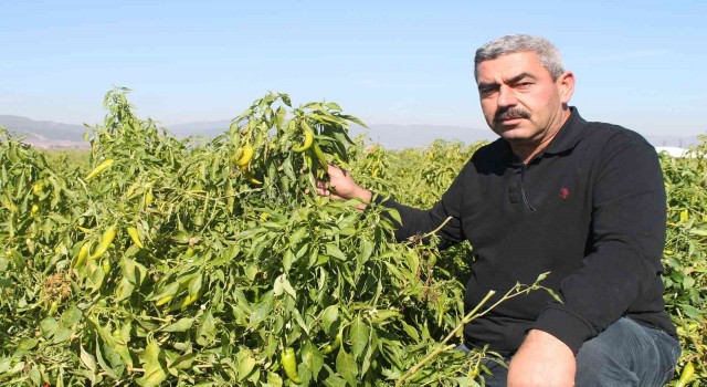 Türkiyede ilk kez Bursada denendi, işçi maliyetleri yüzde 90 düştü