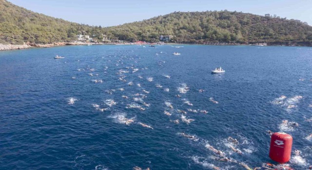 Uluslararası Arena Aquamasters Yüzme Şampiyonasında 2 bin 300 sporcu bir araya geldi