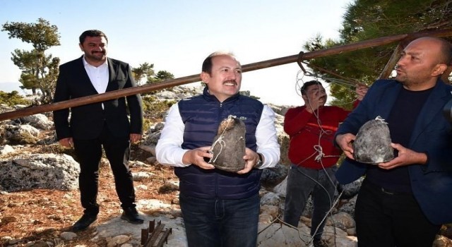 Vali Pehlivan, obruk peyniri çıkarma etkinliğine katıldı