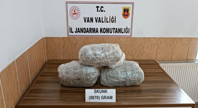 Vanda 9 kilo 870 gram skunk maddesi ele geçirildi