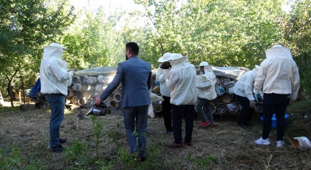 Vanda davullu zurnalı bal hasadı