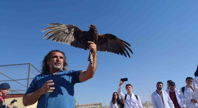 Vanda tedavileri tamamlanan 300 yabanî hayvan doğaya bırakıldı