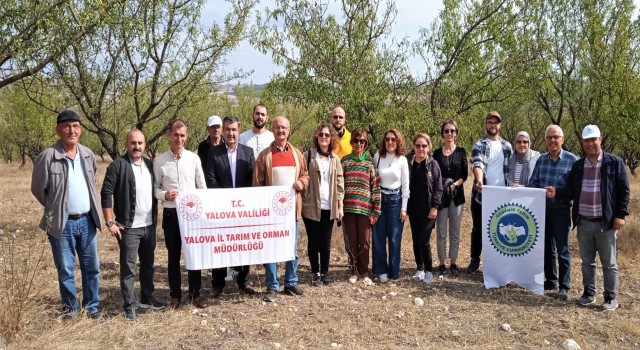Yalovalı çiftçiler Edirneye teknik geziye gitti