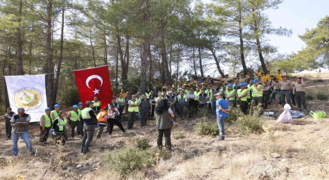 Yatağan, Milas ve Kavaklıdere İşletme Müdürlüklerinin Silvikültür tatbikatı yapıldı